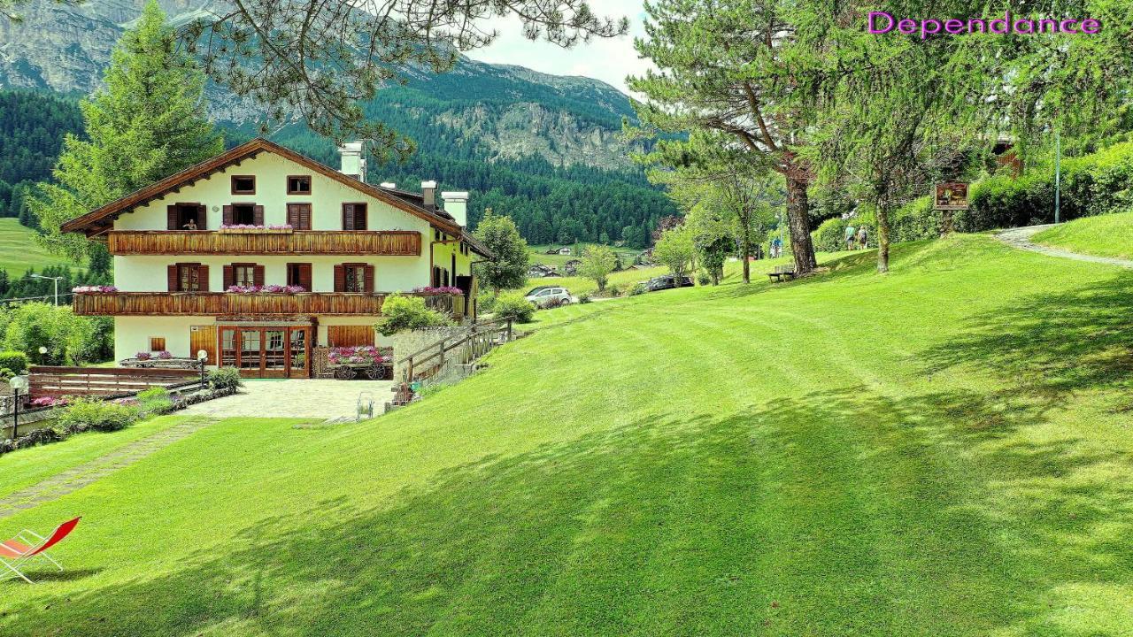 Menardi 3*