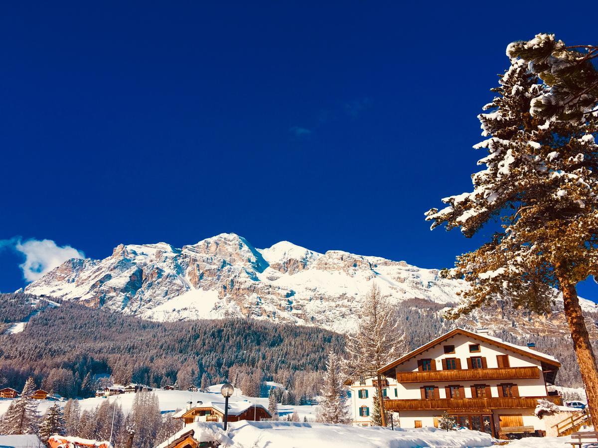 Hotel Menardi 3*